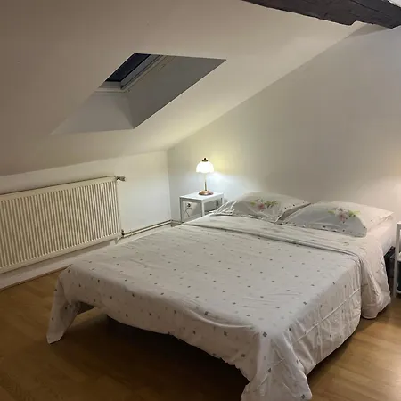 Le Victoria Vi Nancy