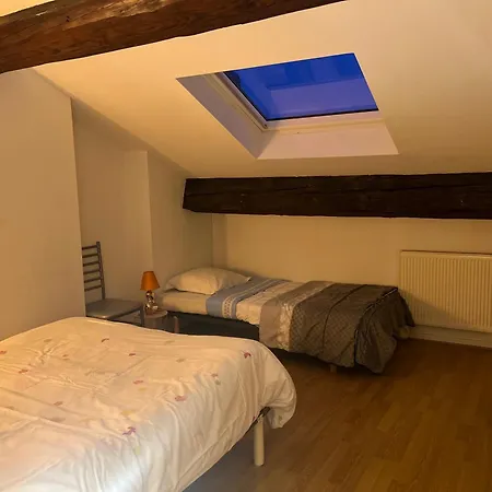 Le Victoria Vi Apartment Nancy