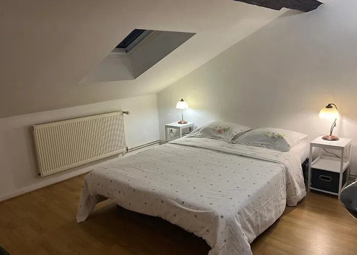 Le Victoria Vi Nancy