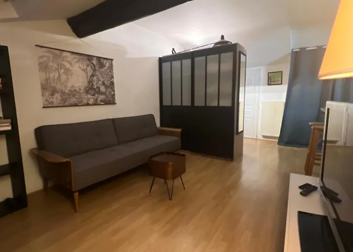 公寓 Le Victoria Vi *