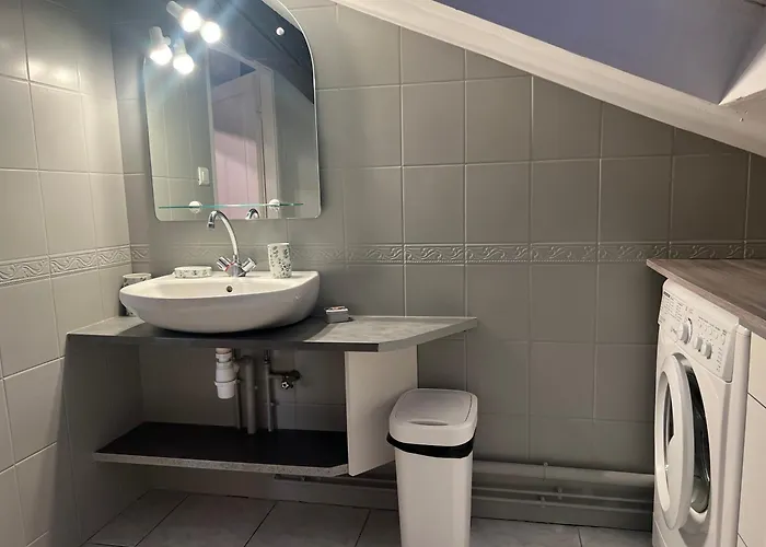 公寓 Le Victoria Vi 南锡