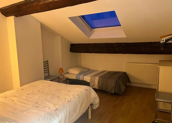 Le Victoria Vi 公寓 南锡